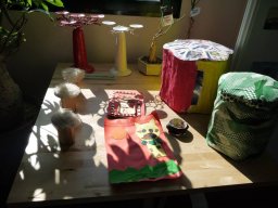 10488234_10152526132799901_74188402285330779_n